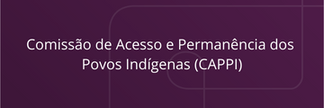 Comissão de Acesso e Permanência dos Povos Indígenas