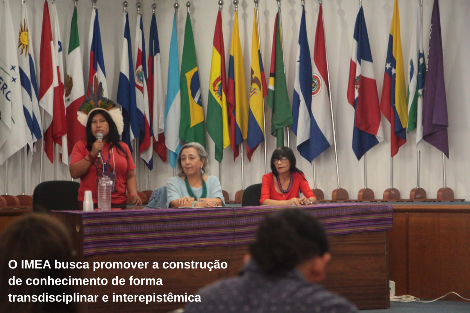 Foto 1 - Carrosel.png