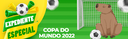 Portaria publicada pelo Gabinete da Reitoria traz orientações aos servidores sobre o expediente em dias de jogos do Brasil na Copa do Mundo.