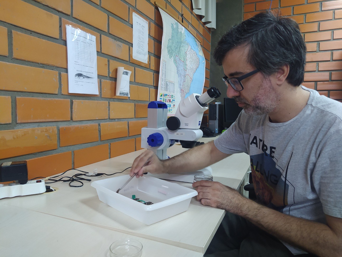 Foto do pesquisador Michel Garey analisando um exemplar da rã das corredeiras