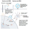 Vacina com DNA e RNA - Figura adaptada de Callaway E. The race for coronavirus vaccines: a graphical guide. Nature 2020;580:576–7
