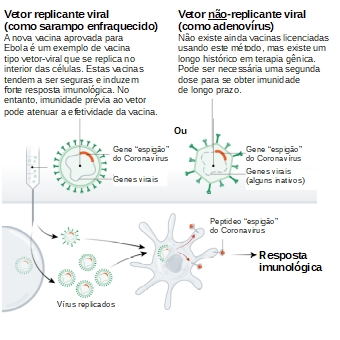 Vacina de vetores virais - Figura adaptada de Callaway E. The race for coronavirus vaccines: a graphical guide. Nature 2020;580:576–7