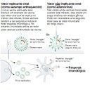 Vacina de vetores virais - Figura adaptada de Callaway E. The race for coronavirus vaccines: a graphical guide. Nature 2020;580:576–7
