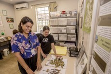 Curadoras do herbário Evaldo Buttura, à esquerda a professora Laura Cristina Pires Lima, ao fundo a professora Giovana Secretti Vendruscolo (Foto: Moisés Bonfim/SECOM-UNILA)