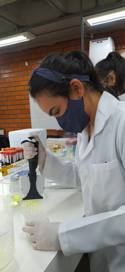 Estudante manipula exames coronavírus