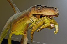 Herrerasaurus - ilustração de Eva K - via commons.wikimedia.org
